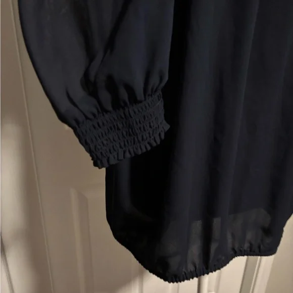 Ann Taylor Navy Sheer Blouse - Picture 4 of 10